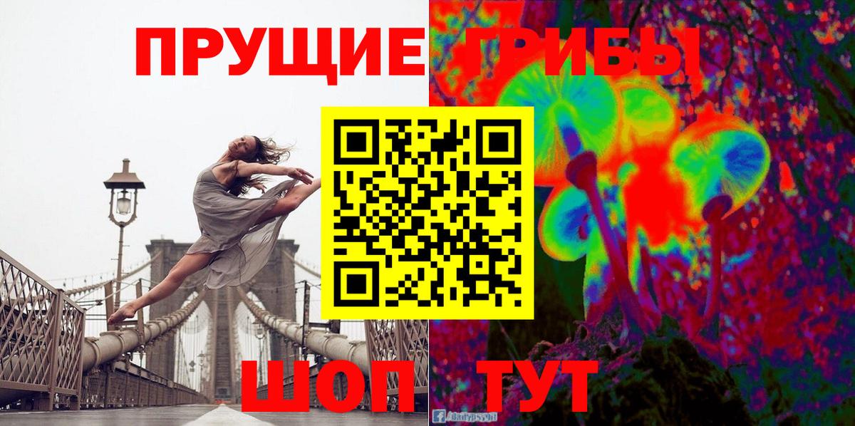 Кашира  Галлюциногенные грибы прущие грибы  Вход с VPN 