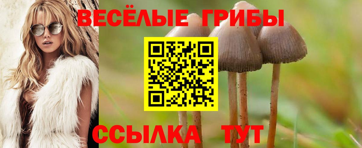 Псилоцибиновые грибы мицелий Кашира