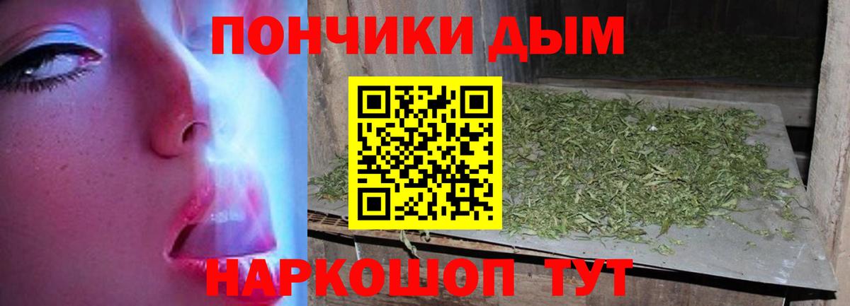 Бошки Шишки конопля  Канабис конопля  МАРИХУАНА план  Кашира  Вход с VPN 
